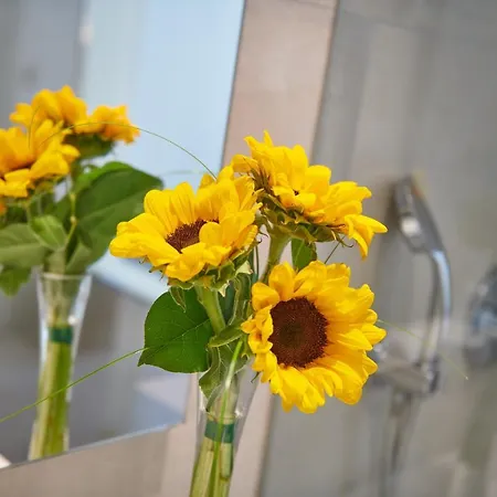 Girasol 4* カラ・ミラー