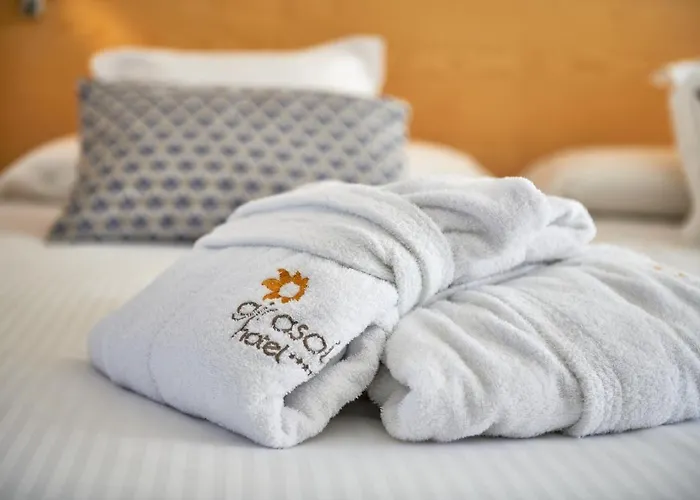 Girasol 칼라 미요르